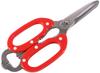 Intec Kaneki Cooking Blade Stainless ABS BLY1601 Scissors, Chef's, Red, Material Steel, Handle Resin, Japan,