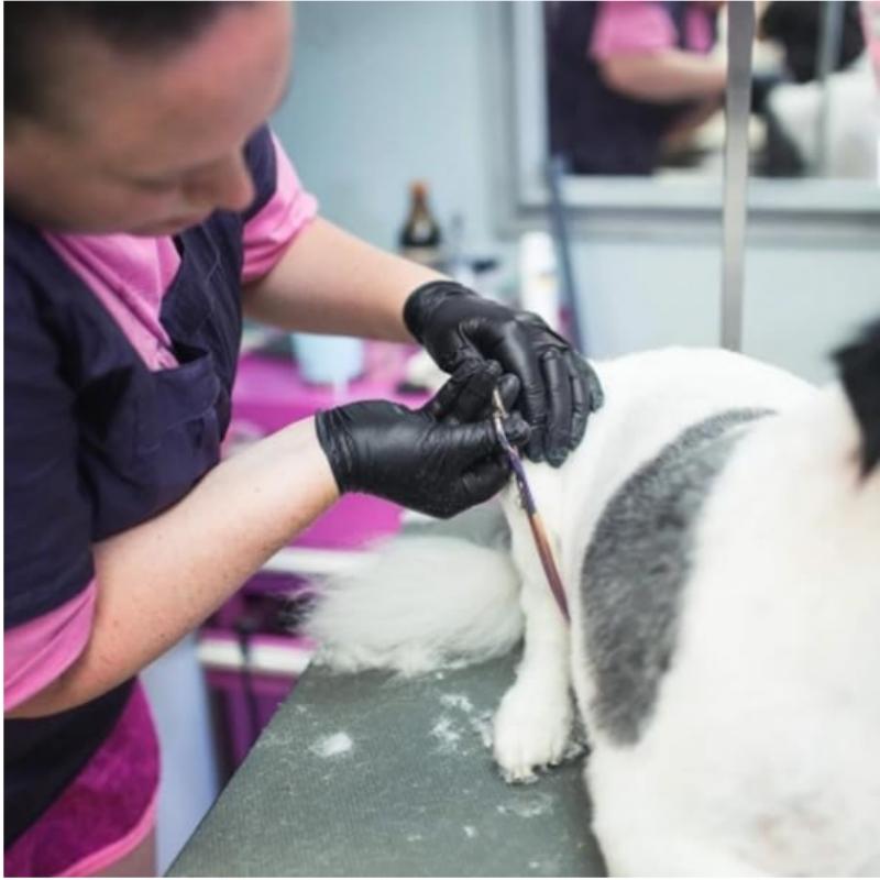 20/100 шт. Черные нитриловые перчатки Одноразовые перчатки для ухода за волосами для ухода за домашними животными Домашняя уборка Кухня Салон красоты Ногти Без пудры