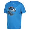 Regatta Childrens/Kids Alvarado VI Mountain T-Shirt