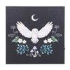Night Owl Light Up Canvas