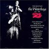 CD WATERBOYS - The Best Of The Waterboys '81 - '90 CCD1845 Ensign 1991 Europe Rock Used