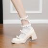 French Retro High-heeled Mary Jane Shoes Women's Spring and Summer New Light-mouth Bow Single Shoes Women's Round Head Thick-heeled Small Leather