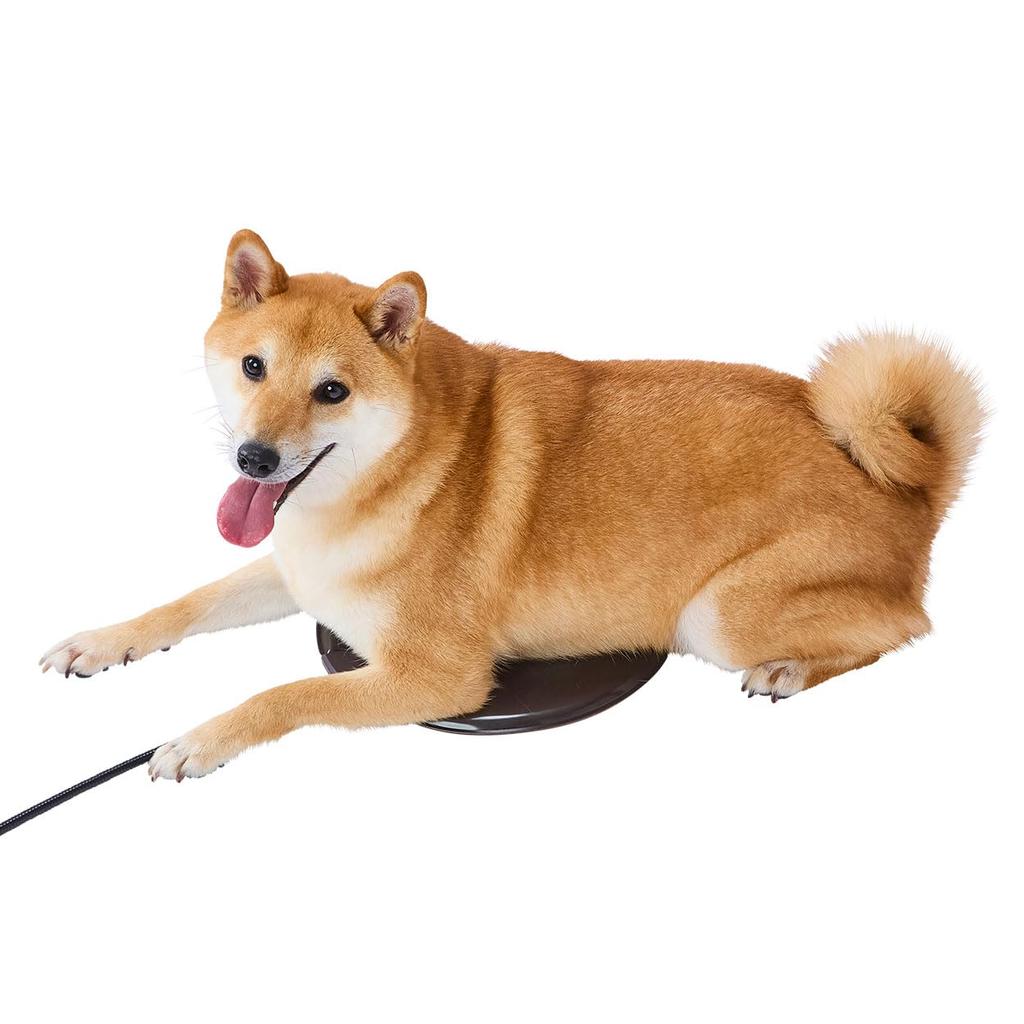 Petio Round Electric Pet Heater, Semi-Hard
