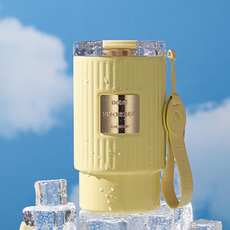 HOLOHOLO Insulated Coffee Straw Tumbler