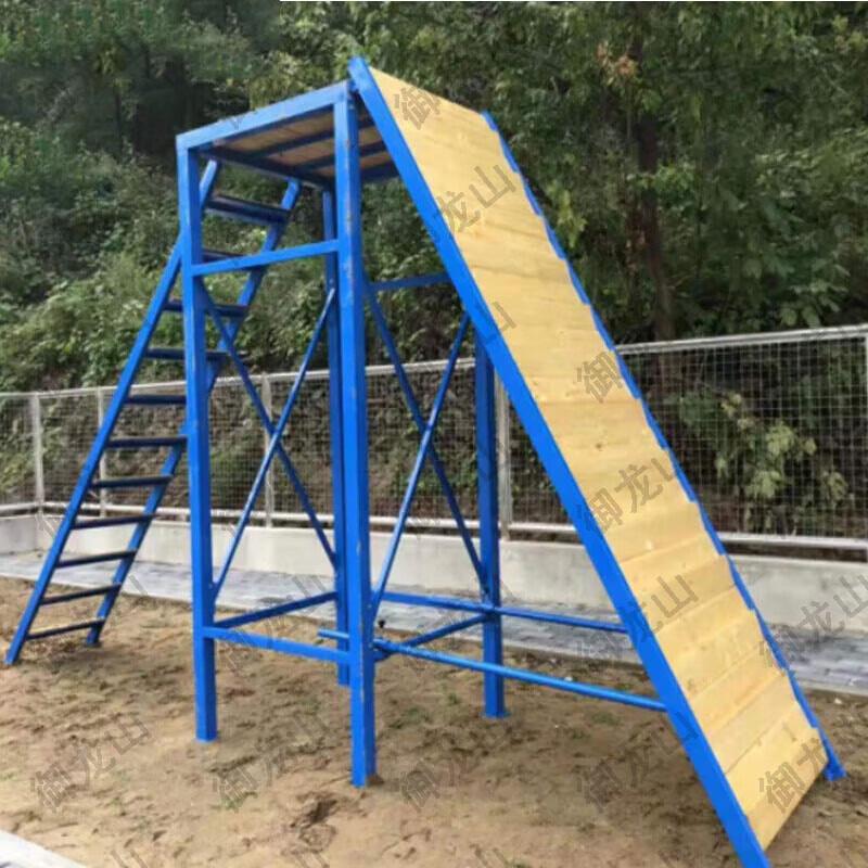 Dog Training Fish Scale Board