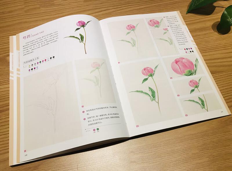 Realistic Color Pencil Drawing Tutorial
