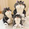 Sale 25Cm Lucifer The Cat Cute Doll Plush Toy Throw Pillow Cat Doll Birthday Gift Valentine'S Day Plush Children'S Toy