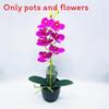 Aphrodite Phalaenopsis Artificial Rchb Potted Plant  For Gift And Decor Interior