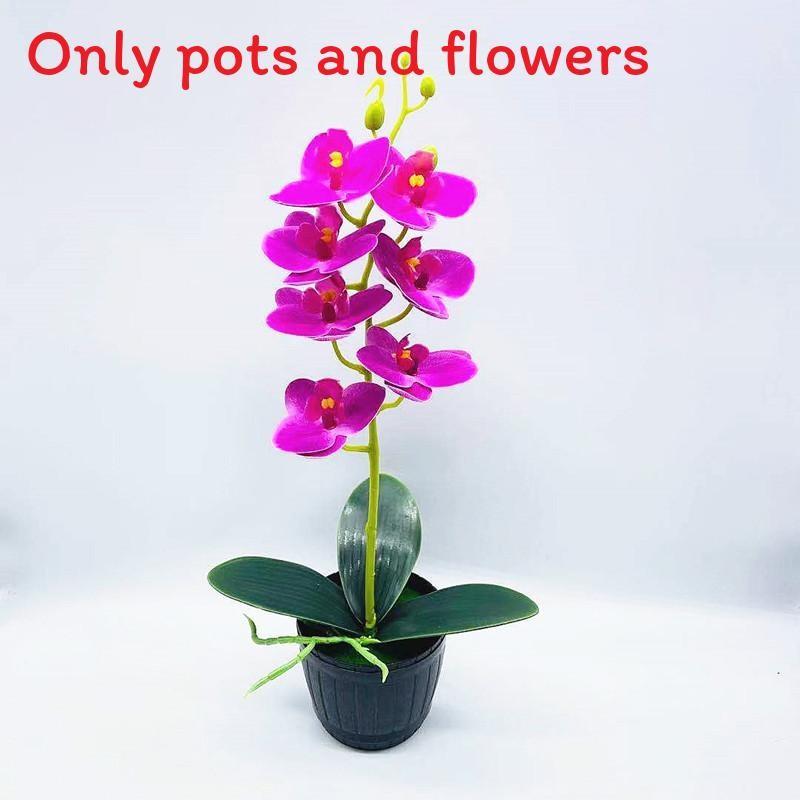 Aphrodite Phalaenopsis Artificial Rchb Potted Plant For Gift And Decor Interior