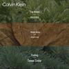 Calvin Klein Коллекция ароматов