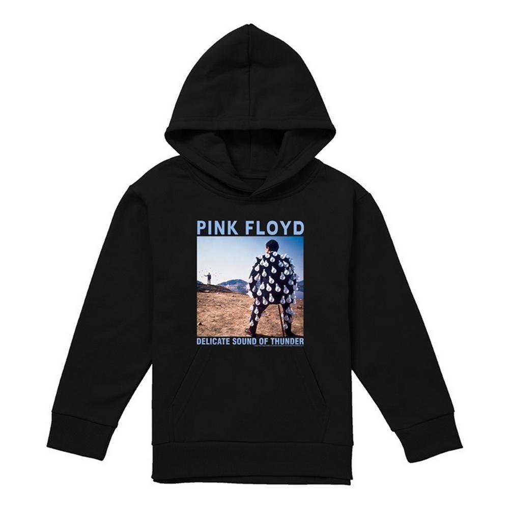 Pink Floyd Childrens/Kids Delicate Sound Of Thunder Hoodie