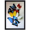 Paintings Butterfly Modern Art UV Coated Painting with Frame for Home Decor (Multicolor, 14" X 20")
