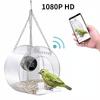 Smart Bird House Pet Feeder, Home Pet Bird Feeder With Camera, Transparent 1080p HD Easy Installation Outdoor Garden Bird Feeder
