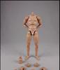 Toys Hobbies Action Figure COOMODEL COO Male Body Action Body Body Type & [TOYBARJAPAN] 1/6 BD001/02/03/04/07/08/09/10 (Standard BD001)