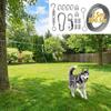 Anti Rust Dog Runner for Yard 15/30M Dog Tie Out Trolley Wire Rope  Park Camping