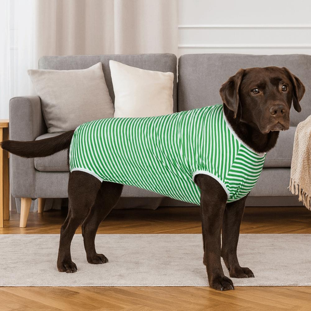 Elastic Dog Recovery Suit Washable Striped Design Pet Sterilization Suit Four-legged Anti-Licking Bodysuit Wound Protection