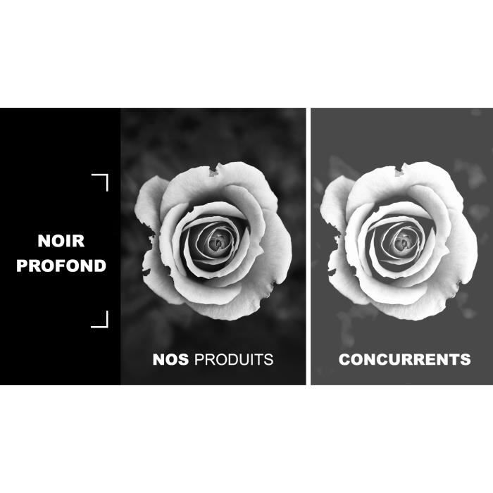 Pack 2 PRINTING SAVER Compatibles TN2420 Cartouches de Toner pour BROTHER L2370DN L2310D MFC-L2710DW L2710DN L2750DW L2730DW