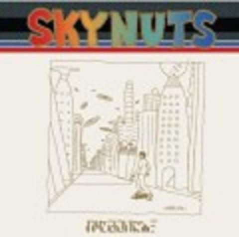 CD KASEKI CIDER Skynuts TFCC88125 TOYS FACTORY 1998 Япония Японский PopRock Б/у
