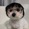 Аксессуары для парика кошки Головной убор для собаки Смешной костюм Косплей щенка Наряд Милый парик для питомца Косплей Смешные аксессуары для головы