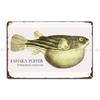 Fahaka Puffer Tetraodon Lineatus Aquarium Fish Keeper Retro Vintage Aquarist Theaplus Metal Sign Classic Designing