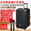 GAV K910 10-дюймовая портативная Bluetooth-колонка с двумя микрофонами, штекер CN (адаптер в комплекте)