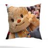 Butter bear Pillow Case Anti-dustmite Pillowcase Invisible zipper silky short plush Sofa cushion cover