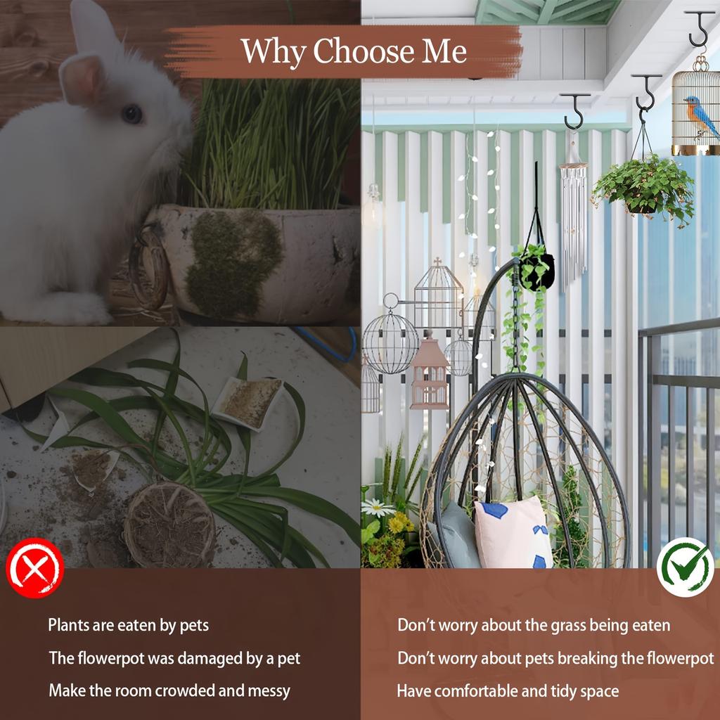 2.5 Inch Hanging Plant Ceiling Hook, Wall-mounted Clothes Hanger Plant Hook, Plant Wall Hook, Wind Chime, Indoor and Outdoor Decoration Hook