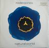 12-дюймовая пластинка RODEO JONES - Природный мир (The Groove Corporati AMX0165 A&M PM, A&M Rec 1993 UK & Европа Танцевальная и Электронная Б/У