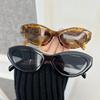 Cat Eye Sunglasses Women Men Vintage Brand Mirror Stylish Sun Glasses Female Male Cute Lens Personality Colors