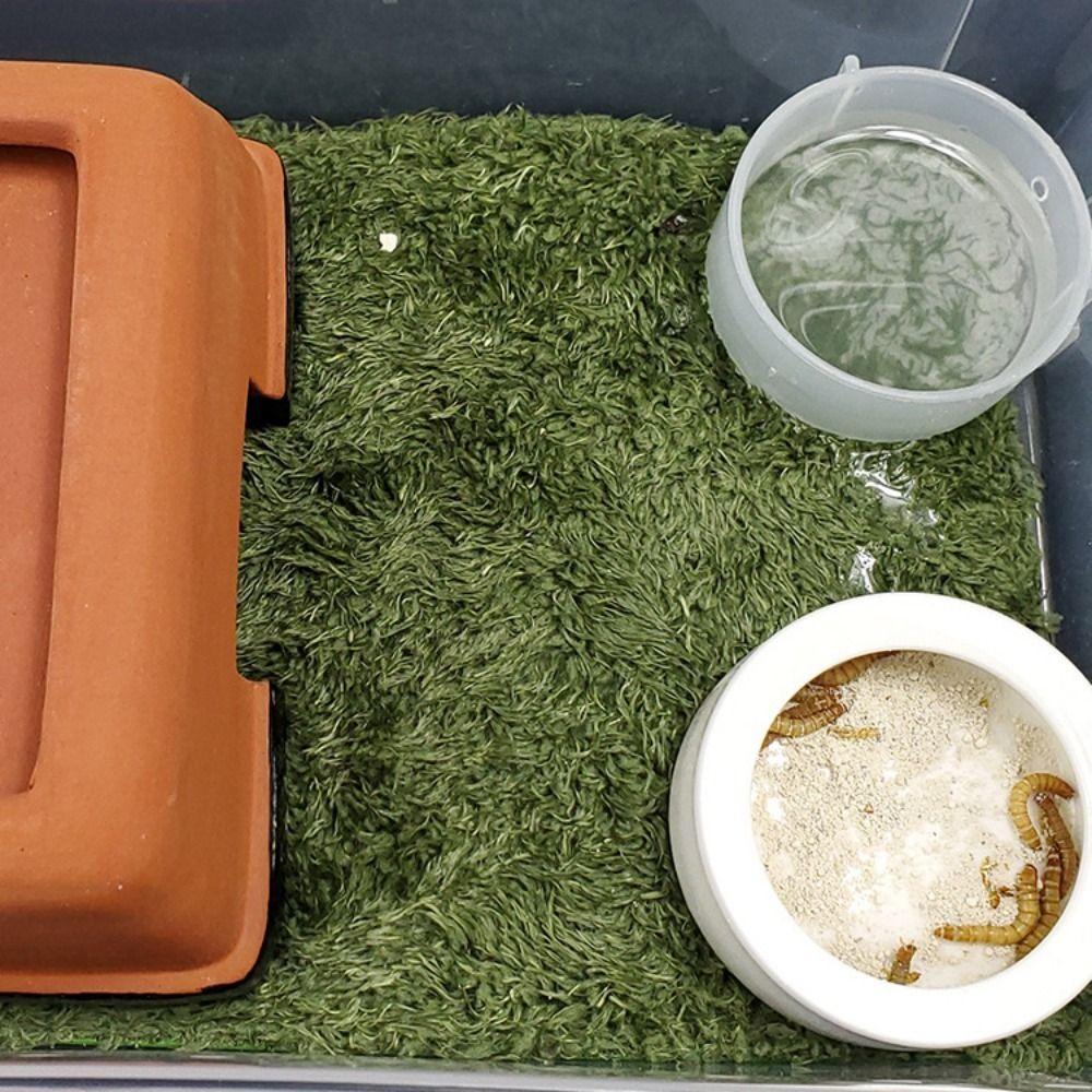 Moisturizing Reptile Carpet Simulation Green Artificial Grass Mat Foldable Rectangle/Square Micro Landscape For Snake Lizard