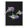 Dolphin Trio Throw Blanket Comforter Soft Big Decorative Beds warm for winter Blankets