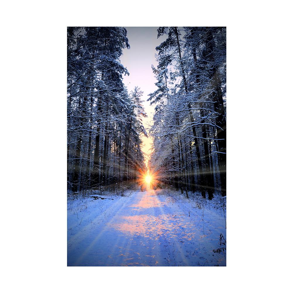 Рождественский постер со снежной сценой, фестивальные фоновые декорации для домашнего декора, вечеринок, студий, уличных празднований, свадьбы