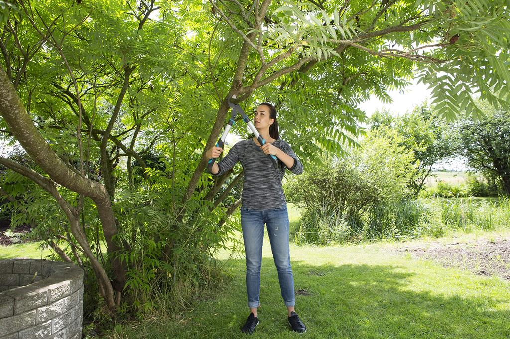 GARDENA Branch Cutting Thick Branch Cutting Cutting Diameter Bypass Grass Branch EnergyCut 600B Made In Up To 25 Years Product Up To 25 Years Shears,