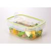 Iwasaki Industries Smart Flap & Rocks Storage Containers, Square, Large, Set of 2, Green, 900ml