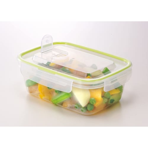 Iwasaki Industries Smart Flap & Rocks Storage Containers, Square, Large, Set of 2, Green, 900ml