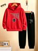 TZWYTwo-piece set for boys: hoodie and jogging pants, Halloween children's outfit with cute spider print, sporty and casual style.