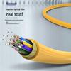 Zhongtianhengke 12-Core Fiber Optic Bundled Pigtail