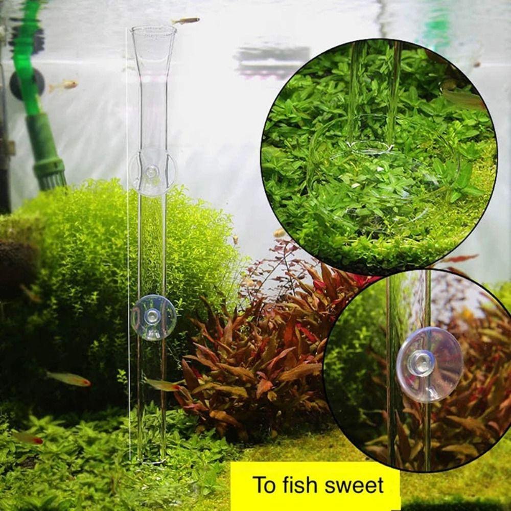 Transparent Fish Tank Food Dispenser with Suction Cup Feeder Bowl Aquarium Fish Tank Feeder Set