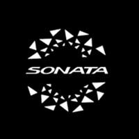 2Pcs For Hyundai SONATA VII (LF) 2015-2019 Russi 2018-Now LED Car Door Courtesy Lights Projector Ghost Shadow Lamp Accessories