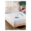 Fithed Mattress Mattress Covering Mattress Design Double Water Liquid Proof