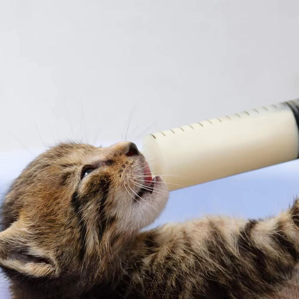 Пластиковый большой шприц большой емкости для кормления, чернильный насос, мерный, многоразовый, 150 мл - 500 мл, шприц со шлангом