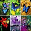 Butterfly 5D DIY Diamond Painting Full Round Drill Rhinestone Animal Diamond Embroidery Cross Stitch Mosaic Home Decor Wall Art