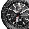 Citizen BY3005-56G ( Watch PROMASTER SKY Series Solar-powered Eco-Drive Radio-controlled Direct Flight Geo Trekker)