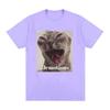 Jemotions Funny Cat Meme Graphic T-Shirt Unisex Women Harajuku High Quality Fashion T-shirts Casual 100% Cotton Oversized Tee Shirt