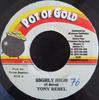 7inch Record TONY REBEL - Highly High NONE Pot Of Gold 2002 Jamaica Reggae, Ska & Dub Used