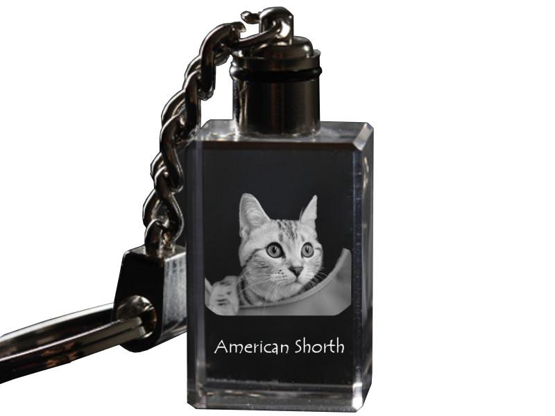 American Shorthair - Crystal Pendant with Cat Photo, Illuminated Pendant, Unique Gift by Art-Dog Brand
