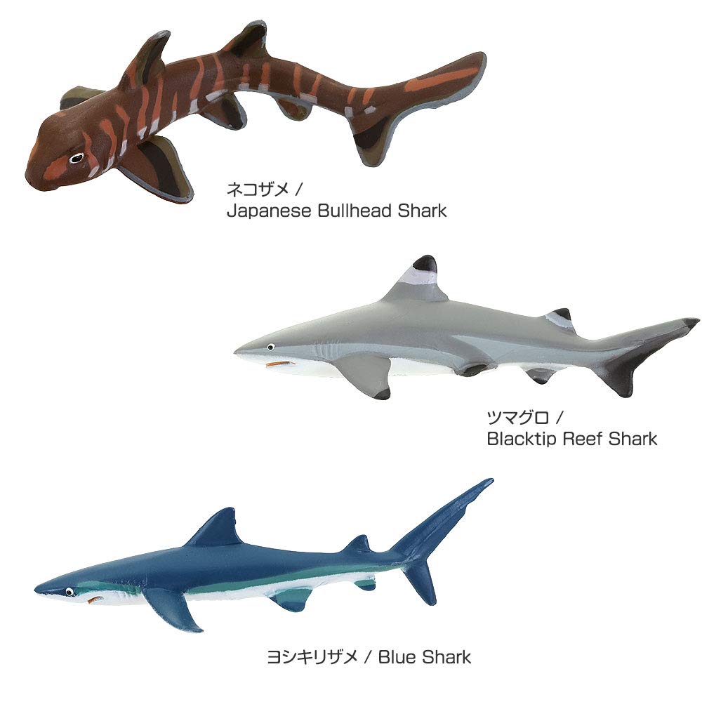COLORATA 3D Illustrated Book Shark Friends Figures Types Instruction Manual and Stand Realistic Toy Birthday Gift Present Sanitation Law Real Figure