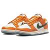 X Университет штата Флорида A&M Dunk Low 'Rattlers' DR6188-800