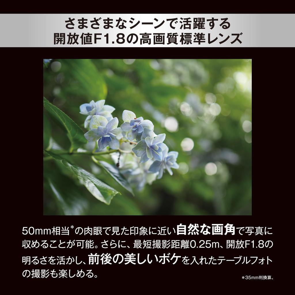 M.ZUIKO DIGITAL 25mm F1.8 II