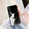 Yinuoda крутой чехол для телефона с принтом черного волка для Huawei Y9 Y8 Y6 Prime Y7 Pro Y8s Y5 Mate 20 Pro 10 lite